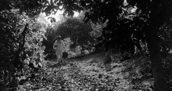 The Wasp Woman screenshot 1