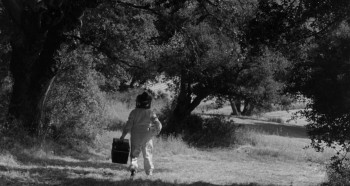 The Wasp Woman screenshot 2