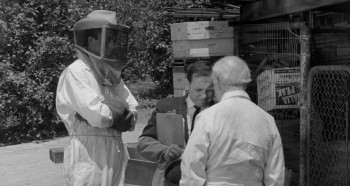 The Wasp Woman screenshot 3