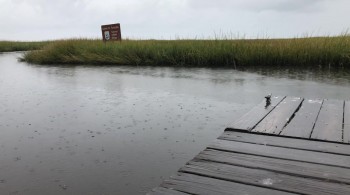 Happy Birthday Hannah screenshot 2