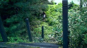 Satanic Meat Cleaver Massacre screenshot 1