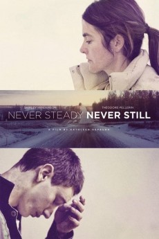 Never Steady, Never Still cover image
