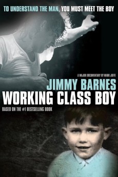 Working Class Boy cover image