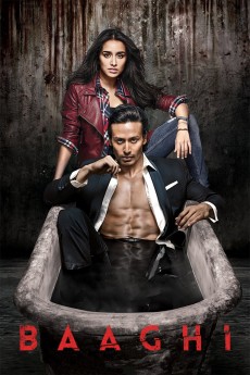 Baaghi cover image
