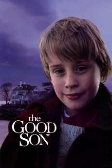 The Good Son cover image