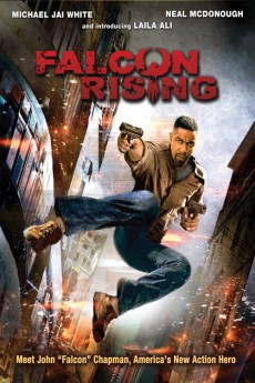 Falcon Rising cover image
