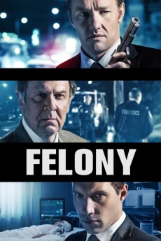 Felony cover image