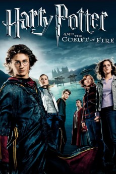 Harry Potter and the Goblet of Fire cover image