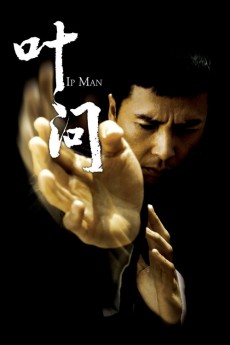 Ip Man cover image