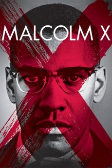 Malcolm X cover image