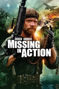 Missing in Action cover image