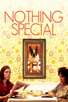 Nothing Special cover image