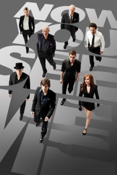 Now You See Me cover image