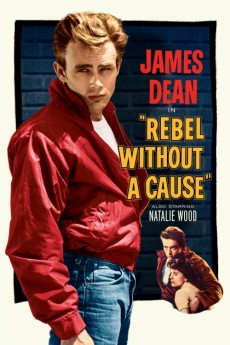 Rebel Without a Cause cover image