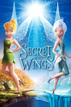 Secret of the Wings cover image