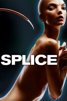 Splice cover image