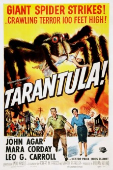 Tarantula cover image