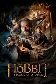 The Hobbit: The Desolation of Smaug cover image