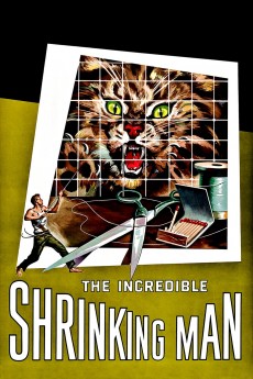 The Incredible Shrinking Man cover image