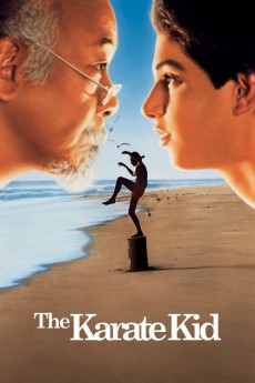 The Karate Kid cover image
