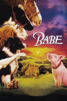 Babe cover image