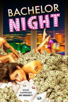 Bachelor Night cover image