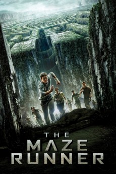 The Maze Runner cover image
