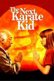 The Next Karate Kid cover image