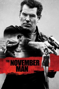 The November Man cover image