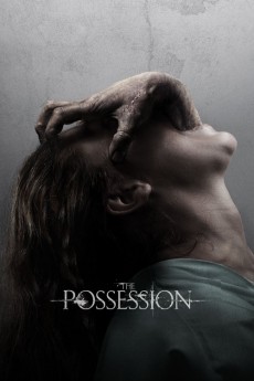 The Possession cover image