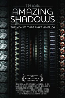 These Amazing Shadows cover image