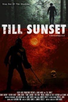 Till Sunset cover image