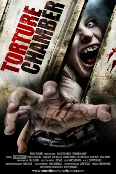 Torture Chamber cover image