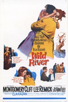 Wild River cover image