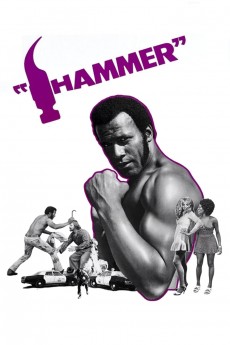 Hammer cover image
