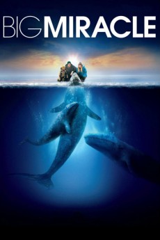 Big Miracle cover image