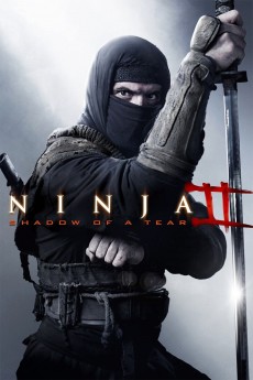 Ninja: Shadow of a Tear cover image