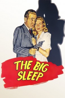 The Big Sleep cover image