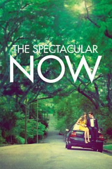 The Spectacular Now cover image
