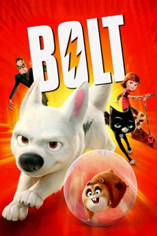 Bolt cover image