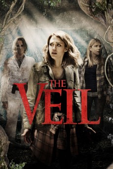 The Veil cover image
