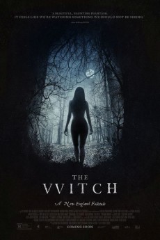 The Witch cover image