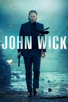 John Wick cover image