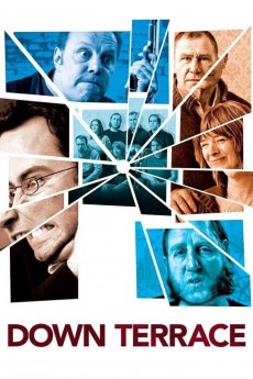 Down Terrace cover image