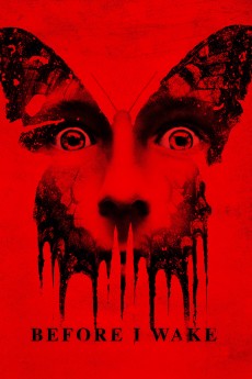 Before I Wake cover image