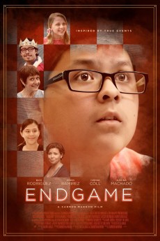 Endgame cover image