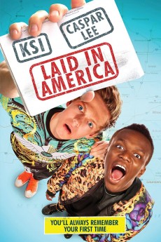 Laid in America cover image