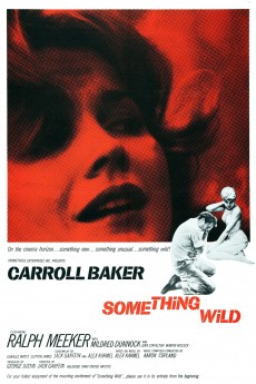 Something Wild cover image