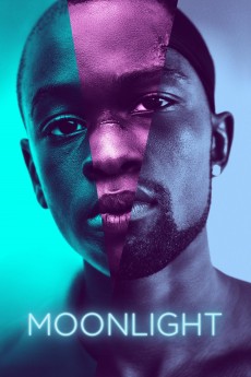 Moonlight cover image