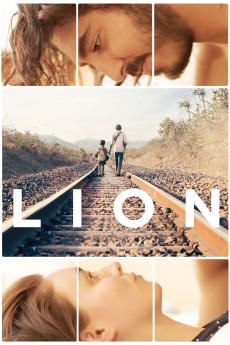Lion cover image